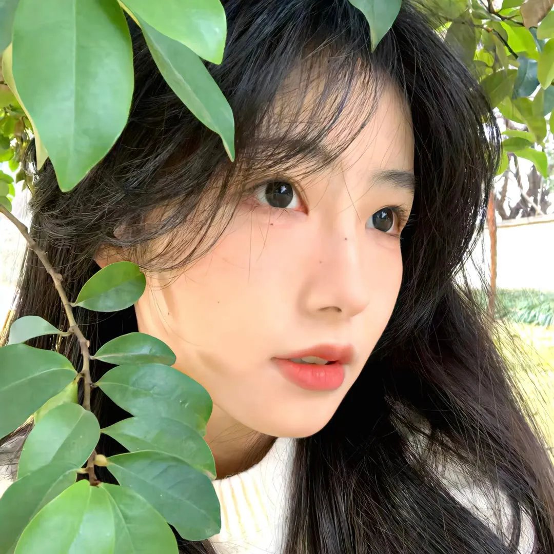 阳光姐妹淘